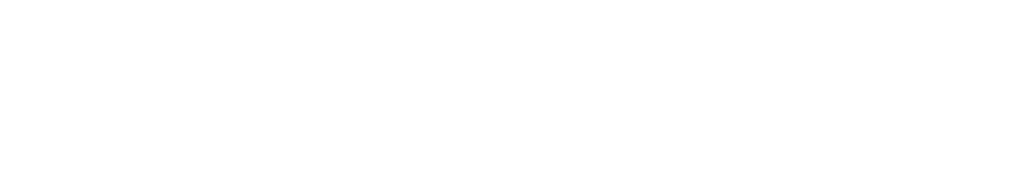 Renewseason Group